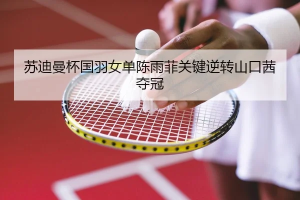 su-di-man-bei-guo-yu-nv-dan-chen-yu-fei-guan-jian-ni-zhuan-shan-kou-qian-duo-guan-2-725.jpg