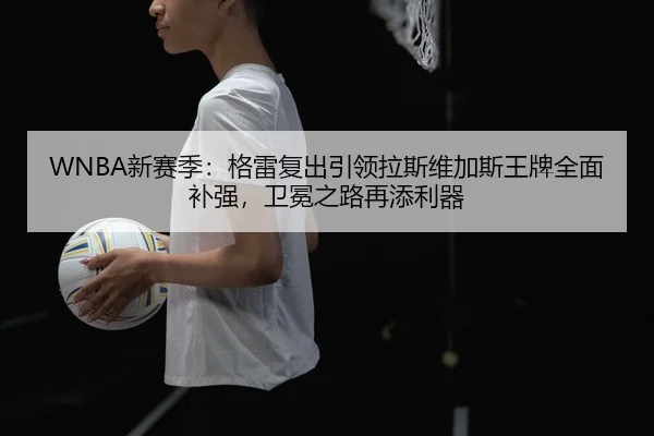 xin-sai-ji-ge-lei-fu-chu-yin-ling-la-si-wei-jia-si-wang-pai-quan-mian-bu-qiang-wei-mian-zhi-lu-zai-tian-li-qi-3-551.jpg