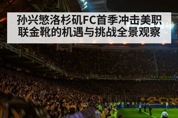 soccer stadium crowd night